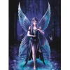 Bluebird Puzzle Puzzle Anne Stokes - Enchantment