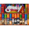 Bluebird Puzzle Puzzle Cat Bookshelf