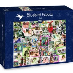 Bluebird Puzzle Puzzle Cats