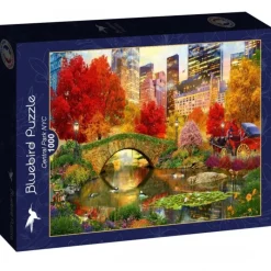 Bluebird Puzzle Puzzle Central Park NYC