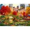 Bluebird Puzzle Puzzle Central Park NYC