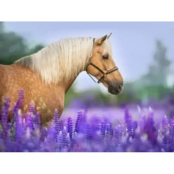 Bluebird Puzzle Puzzle Cheval dans un Champ de Lupin