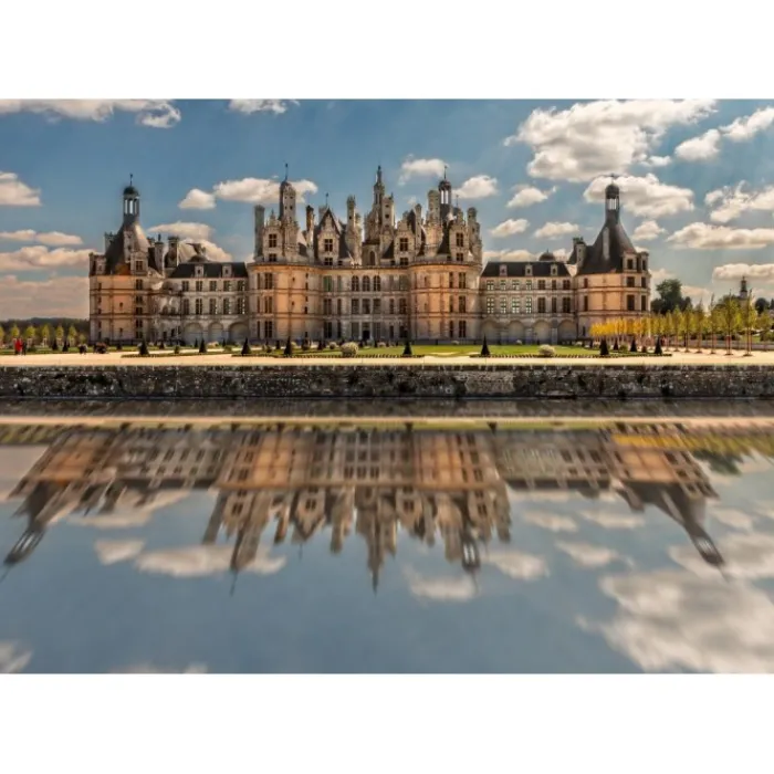 Bluebird Puzzle Puzzle Château de Chambord, France