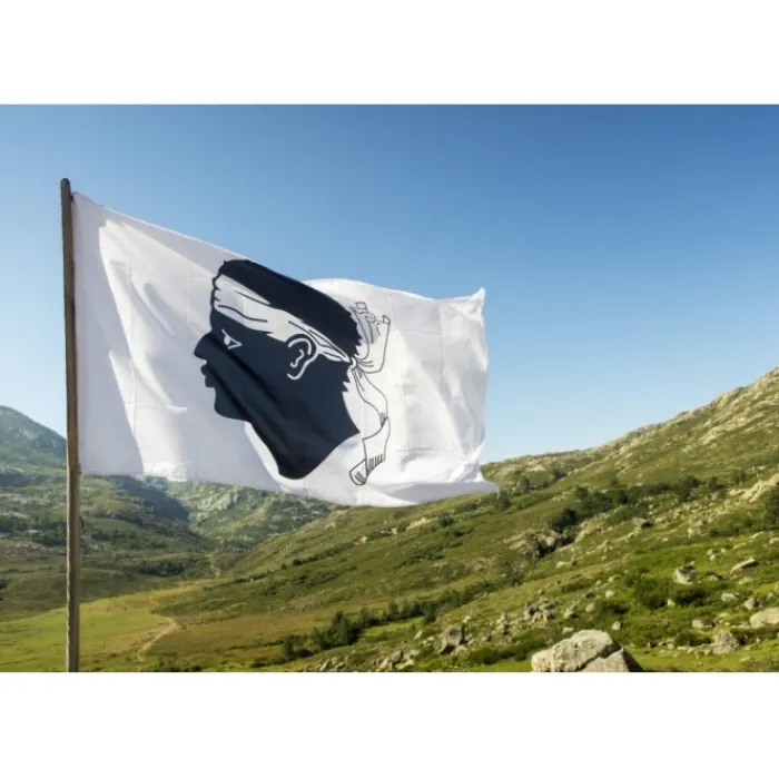 Bluebird Puzzle Puzzle Drapeau de la Corse