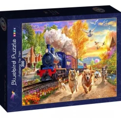 Bluebird Puzzle Puzzle Following The Train