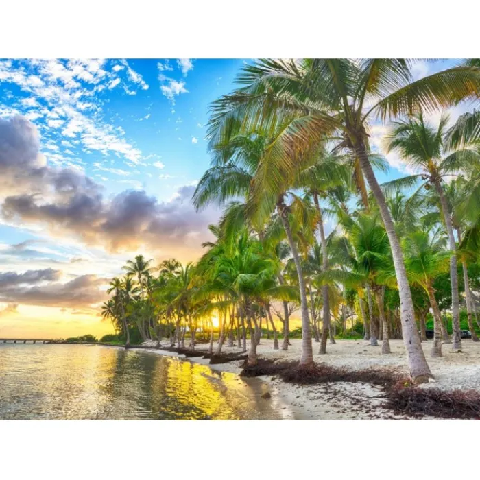 Bluebird Puzzle Puzzle Guadeloupe - Anse Champagne