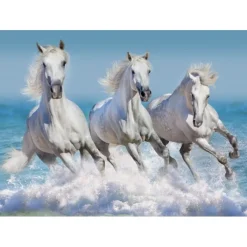 Bluebird Puzzle Puzzle Horse Paradise