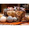 Bluebird Puzzle Puzzle Kittens in Basket