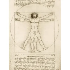 Bluebird Puzzle Puzzle Leonardo Da Vinci - The Vitruvian Man, 1490