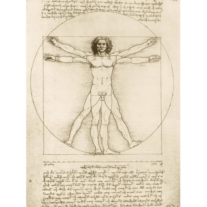 Bluebird Puzzle Puzzle Leonardo Da Vinci - The Vitruvian Man, 1490