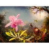 Bluebird Puzzle Puzzle Martin Johnson Heade - Cattleya Orchid and Three Hummingbirds, 1871