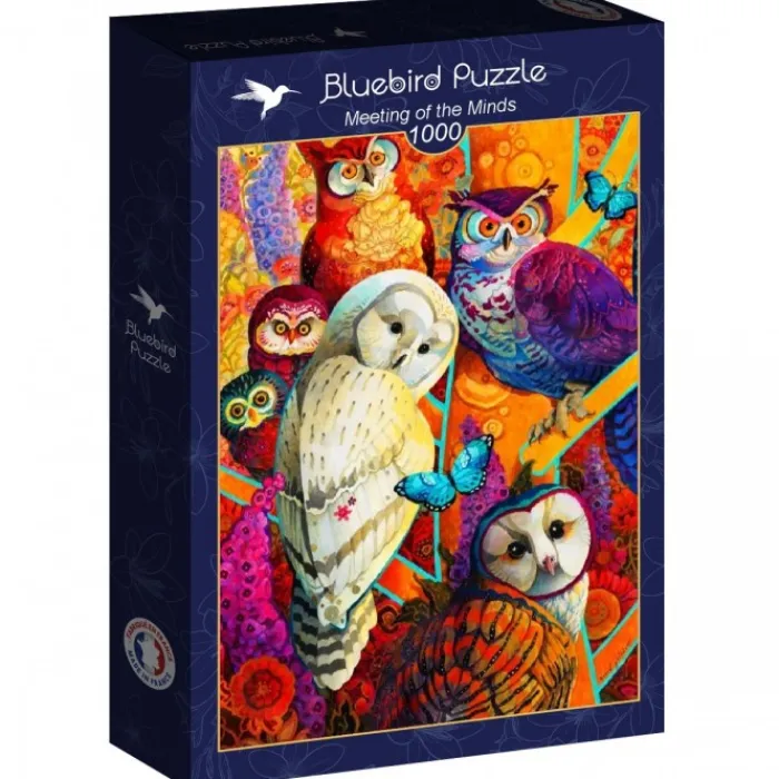 Bluebird Puzzle Puzzle Meeting of the Minds
