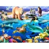 Bluebird Puzzle Puzzle Oceans of Life