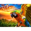 Bluebird Puzzle Puzzle Parrot