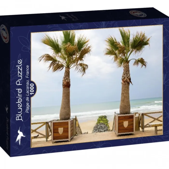 Bluebird Puzzle Puzzle Plage de Lacanau, France