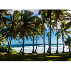 Bluebird Puzzle Puzzle Plage et Palmiers, La Réunion, France