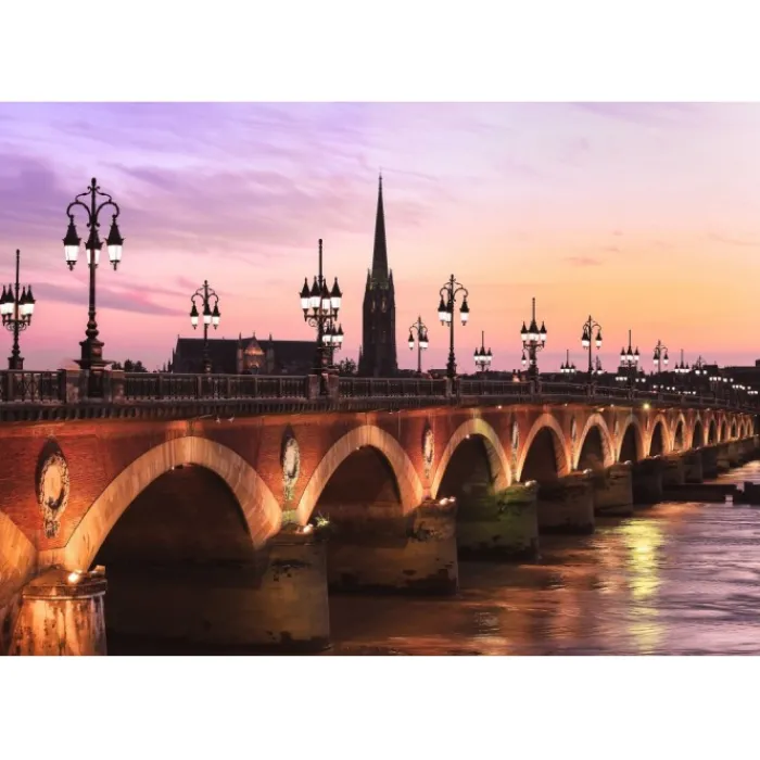 Bluebird Puzzle Puzzle Pont de Pierre, Bordeaux