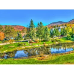 Bluebird Puzzle Puzzle Stowe, Vermont, USA
