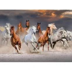 Bluebird Puzzle Puzzle The Horse Race