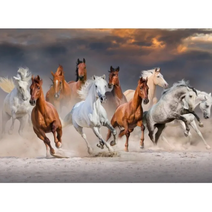 Bluebird Puzzle Puzzle The Horse Race