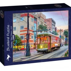 Bluebird Puzzle Puzzle Tramway, New Orleans, USA