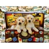 Bluebird Puzzle Puzzle Two Travel Puppies