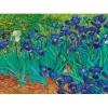 Bluebird Puzzle Puzzle Vincent Van Gogh - Irises, 1889